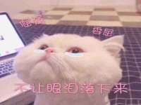 云霄县圣之杰网络技术服务部