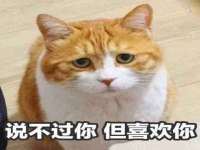 云霄县圣之杰网络技术服务部