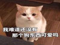 云霄县圣之杰网络技术服务部