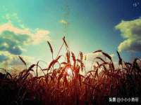 云霄县圣之杰网络技术服务部