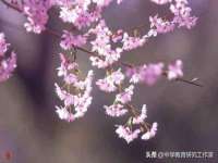 云霄县圣之杰网络技术服务部