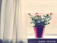 云霄县圣之杰网络技术服务部
