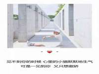 云霄县圣之杰网络技术服务部