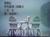 云霄县圣之杰网络技术服务部