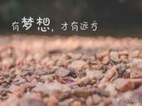 云霄县圣之杰网络技术服务部