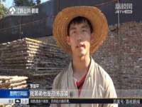 云霄县圣之杰网络技术服务部