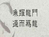 云霄县圣之杰网络技术服务部