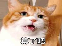 云霄县圣之杰网络技术服务部