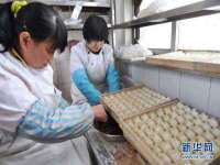 云霄县圣之杰网络技术服务部