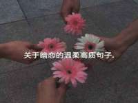 云霄县圣之杰网络技术服务部