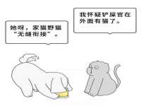 云霄县圣之杰网络技术服务部
