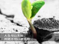 云霄县圣之杰网络技术服务部