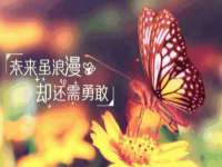 云霄县圣之杰网络技术服务部