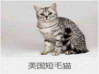 云霄县圣之杰网络技术服务部
