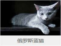 云霄县圣之杰网络技术服务部