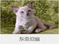 云霄县圣之杰网络技术服务部