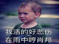 云霄县圣之杰网络技术服务部
