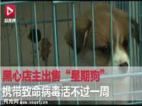 云霄县圣之杰网络技术服务部