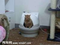 云霄县圣之杰网络技术服务部