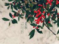 云霄县圣之杰网络技术服务部