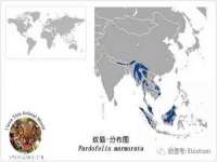 云霄县圣之杰网络技术服务部