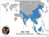 云霄县圣之杰网络技术服务部