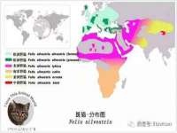 云霄县圣之杰网络技术服务部