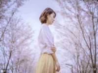 云霄县圣之杰网络技术服务部
