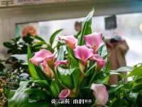 云霄县圣之杰网络技术服务部
