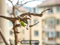 云霄县圣之杰网络技术服务部