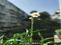 云霄县圣之杰网络技术服务部