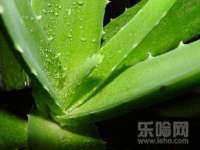 云霄县圣之杰网络技术服务部