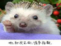云霄县圣之杰网络技术服务部