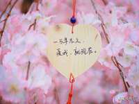 云霄县圣之杰网络技术服务部