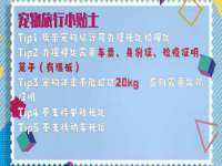 云霄县圣之杰网络技术服务部