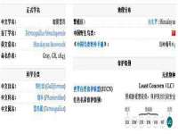 云霄县圣之杰网络技术服务部