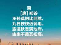 云霄县圣之杰网络技术服务部