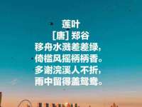 云霄县圣之杰网络技术服务部