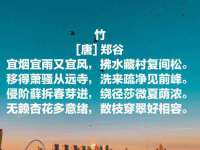 云霄县圣之杰网络技术服务部
