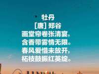 云霄县圣之杰网络技术服务部