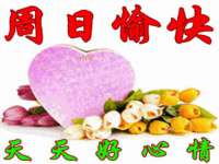 云霄县圣之杰网络技术服务部