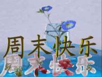 云霄县圣之杰网络技术服务部