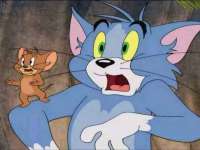 云霄县圣之杰网络技术服务部