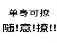 云霄县圣之杰网络技术服务部