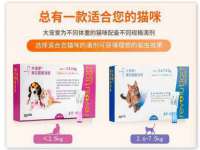 云霄县圣之杰网络技术服务部