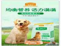 云霄县圣之杰网络技术服务部