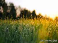 云霄县圣之杰网络技术服务部