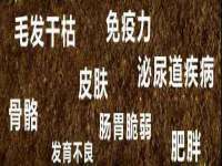 云霄县圣之杰网络技术服务部