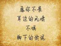 云霄县圣之杰网络技术服务部