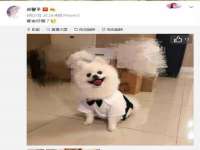 云霄县圣之杰网络技术服务部